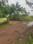 KONCHOWKI HOUSING SOCIETY Internal Roads 2