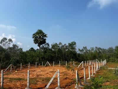 Image of 2664 Sq.ft Residential Plot / Land for sale in Jajulavanipalem, Visakhapatnam for Rs. 3990000