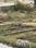 Miwan City Plot View 2