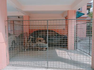 Balcony Image of 1150 Sq.ft 3 BHK Apartment / Flat for rent in Belghoria Kolkata for Rs. 20000