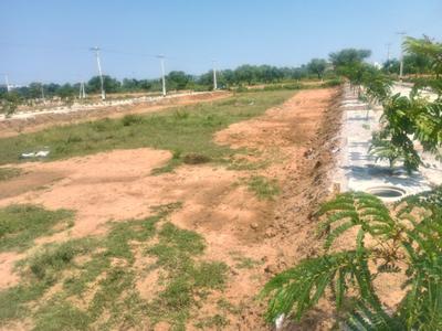 Image of 183 Sq.ft Residential Plot / Land for sale in Shadnagar, Ranga Reddy for Rs. 2836509