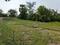 Golden city 2 Plot View 2