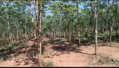 Image of 200 Sq.ft Residential Plot / Land for sale in Charan Sandal Gardens, Ravikamatham, Visakhapatnam for Rs. 700000