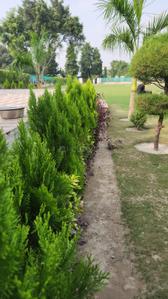 Image of 9072 Sq.ft Residential Plot / Land for sale in Dkrrish Green Beauty Farms, Sector 135, Noida for Rs. 8000000