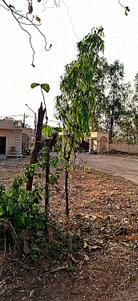 Image of 1800 Sq.ft Residential Plot / Land for sale in Akshansh Enclave Phase 3, Lolai, Lucknow for Rs. 6200000
