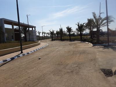 Mhow Plot View 3