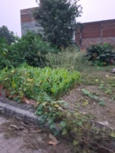 Image of 1375 Sq.ft Residential Plot / Land for sale in Parmanandpur, Varanasi for Rs. 5000000