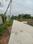 Apparent JB Garden Internal Roads 1