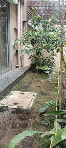 Image of 2000 Sq.ft 4 BHK Duplex for sale in Tathawade, Pune for Rs. 27000000