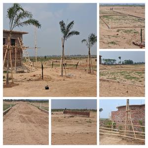 Bihta Plot View 3