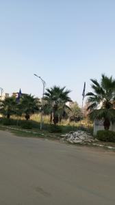 Image of 500 Sq.ft Residential Plot / Land for sale in Omaxe Phase 3 Mullanpur, New Chandigarh, Chandigarh for Rs. 39000000