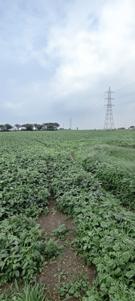 Image of 600 Sq.ft Residential Plot / Land for sale in Dharampuri, Indore for Rs. 990000