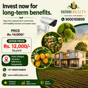 Ootla Plot View 2