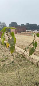 Image of 1200 Sq.ft 2 BHK Independent House for sale in Ahmamau, Lucknow for Rs. 2500000