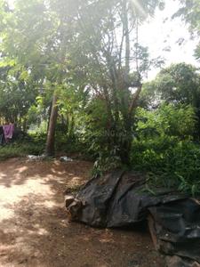 Image of 2178 Sq.ft Residential Plot / Land for sale in Minalur, Thrissur for Rs. 250000
