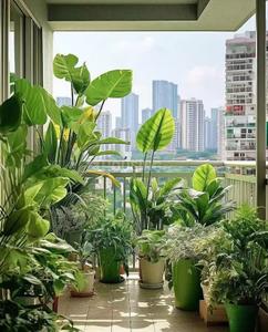 Balcony Image of 1548 Sq.ft 3 BHK Apartment / Flat for sale in Pallavaram Chennai for Rs. 15100000