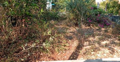 Image of 4300 Sq.ft Residential Plot / Land for sale in Kalali, Vadodara for Rs. 21500000