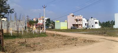 Plot View