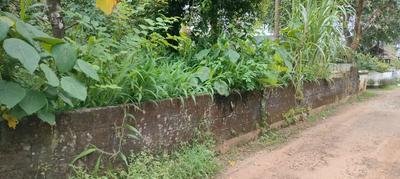 Image of 5880 Sq.ft Residential Plot / Land for sale in Viyyoor, Thrissur for Rs. 9585000
