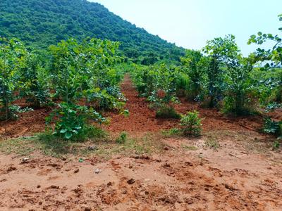 Image of 200 Sq.ft Residential Plot / Land for sale in Kothavalasa, Visakhapatnam for Rs. 1200000