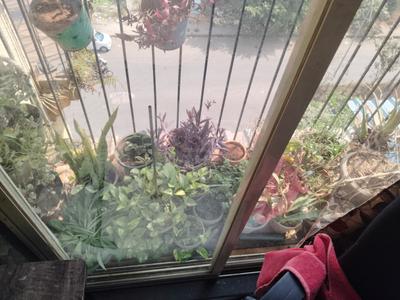 Balcony Image of 650 Sq.ft 1 BHK Apartment / Flat for sale in Ulwe Navi Mumbai for Rs. 5500000