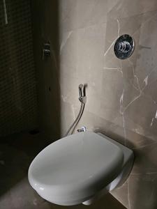 Common Bathroom Image of 750 Sq.ft 2 BHK Apartment / Flat for rent in Mittal Arc Vista, Dhanori Pune for Rs. 27000