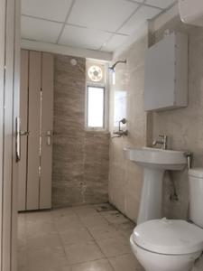 Common Bathroom Image of 1188 Sq.ft 3 BHK Apartment / Flat for rent in Noida Extension Greater Noida for Rs. 20000