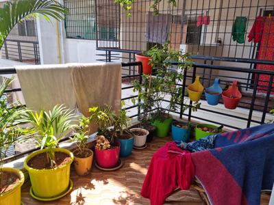 Balcony Image of 1560 Sq.ft 3 BHK Apartment / Flat for rent in Whitefield Bengaluru for Rs. 43000