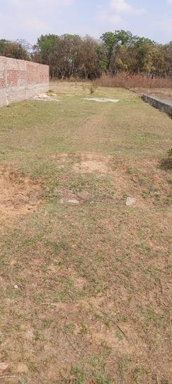 Singh More Latma  Main Image 1