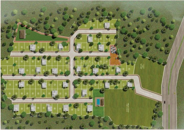 Golden Palms Main Image 1