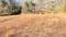 Bajoral Khurd Plot View 2