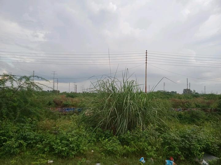 Sector 145 Main Image 1
