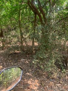 Image of 33000 Sq.ft Residential Plot / Land for sale in Gorai, Mumbai for Rs. 30000000