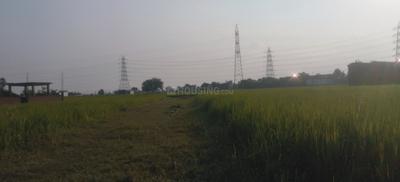 Image of 2720 Sq.ft Residential Plot / Land for sale in Kandwa, Varanasi for Rs. 3600000