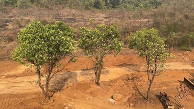 Image of 1089 Sq.ft Residential Plot / Land for sale in Pedali, Raigad for Rs. 425000
