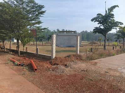 Image of 1000 Sq.ft Residential Plot / Land for sale in Pacheda 1, Raipur for Rs. 1200000