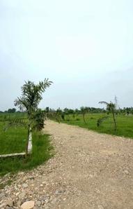 Image of 1000 Sq.ft Residential Plot / Land for sale in Central Hope Town, Dehradun for Rs. 16000000