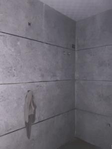 Common Bathroom Image of 1100 Sq.ft 2 BHK Apartment / Flat for rent in Noida Extension Greater Noida for Rs. 15000