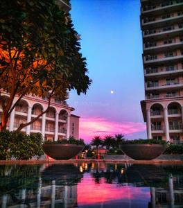 Image of 1930 Sq.ft 3 BHK Apartment / Flat for sale in DLF The Skycourt, Sector 86, Gurgaon for Rs. 24000000