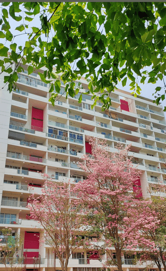 Klassik Benchmark Main Image 1