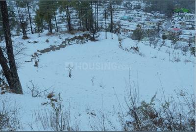 Image of 240 Sq.ft Residential Plot / Land for sale in Majkhali, Ranikhet for Rs. 3960000