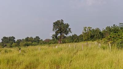Image of 23958 Sq.ft Residential Plot / Land for sale in Murbad, Thane for Rs. 3925000