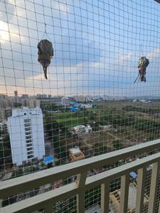 Balcony Image of 1050 Sq.ft 2 BHK Apartment / Flat for rent in Dhanashree Aanand 2, Handewadi Pune for Rs. 20000