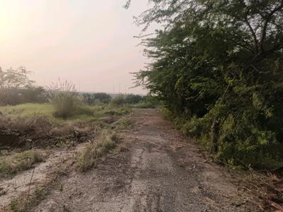 Residential Plot