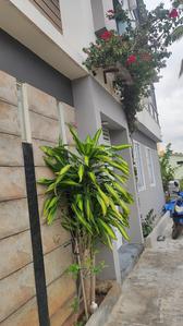 Building Image of 550 Sq.ft 1 BHK Builder Floor for rent in Gulimangala Bengaluru for Rs. 9000