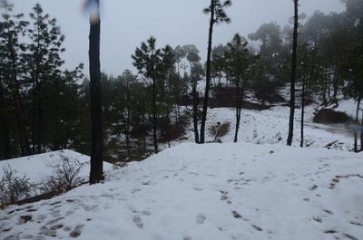 Image of 2160 Sq.ft Residential Plot / Land for sale in Majkhali, Ranikhet for Rs. 3700000