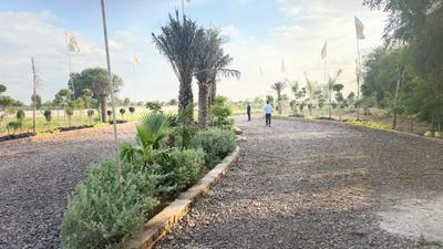 Image of 1800 Sq.ft Residential Plot / Land for sale in Barsana, Mathura for Rs. 7600000