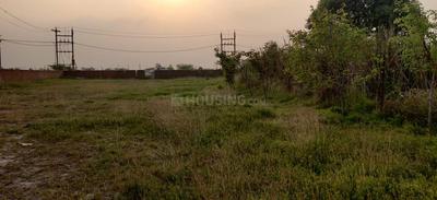 Image of 1000 Sq.ft Residential Plot / Land for sale in Morar, Gwalior for Rs. 2200000
