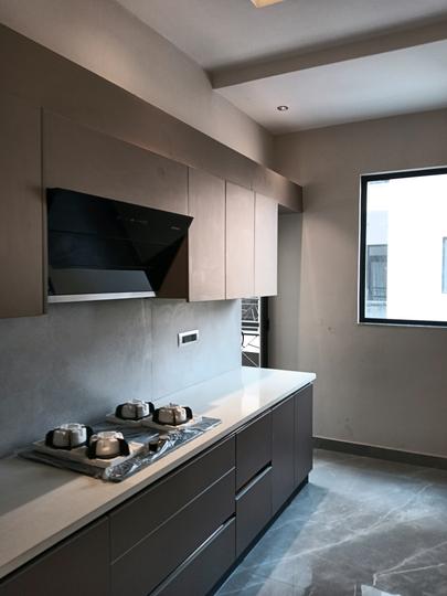 Tulip Yellow Main Image 1