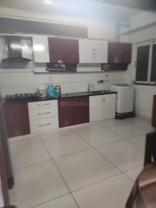 Kitchen Image of 1000 Sq.ft 2 BHK Apartment / Flat for rent in Northern City B Block, Pumpwell Mangalore for Rs. 33000